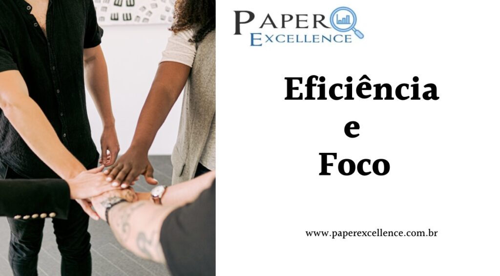 Paper Excellence - Consultoria Empresarial