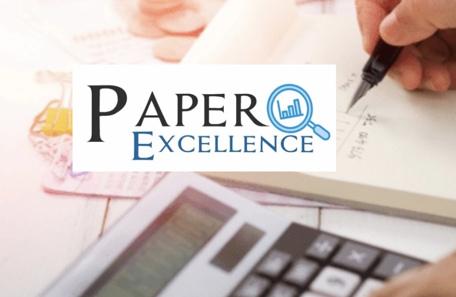 Paper Excellence - Consultoria Empresarial - Finanças